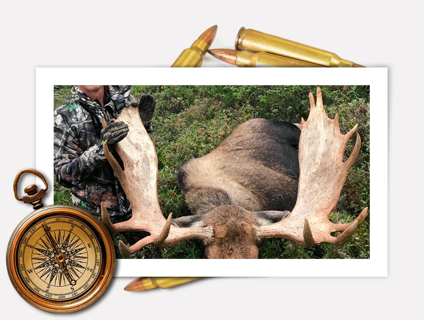 Newfoundland moose hunting fly in camp