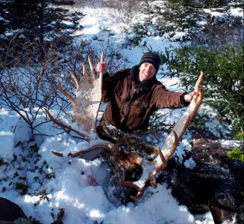 Moose Hunting Camp In Newfoundland Moose Hunting Rates