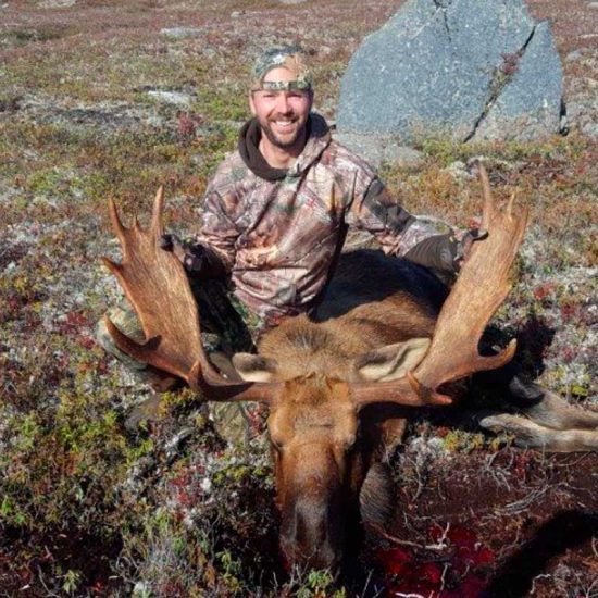 Newfoundland Moose Hunts