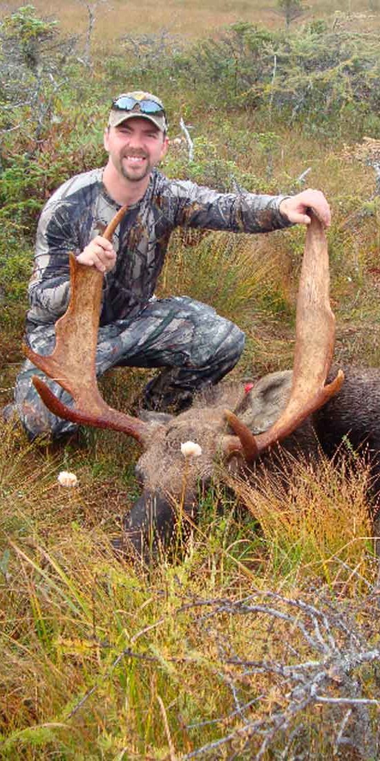 Newfoundland Big Game Hunting Rates Moose Hunts