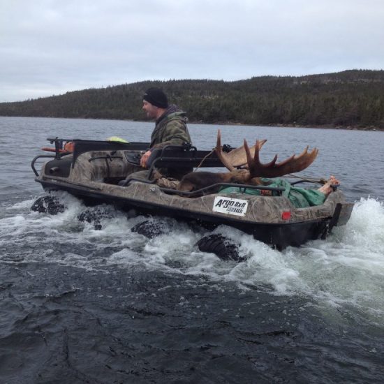 Newfoundland Moose Hunting Guides