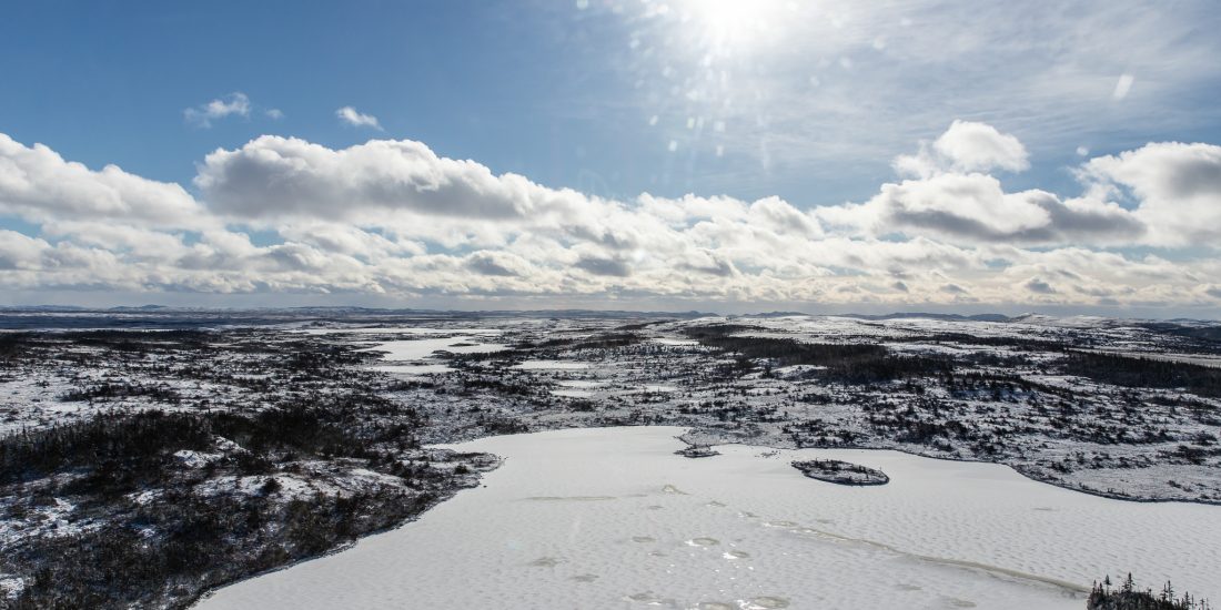 Moose Hunting Newfoundland Canada