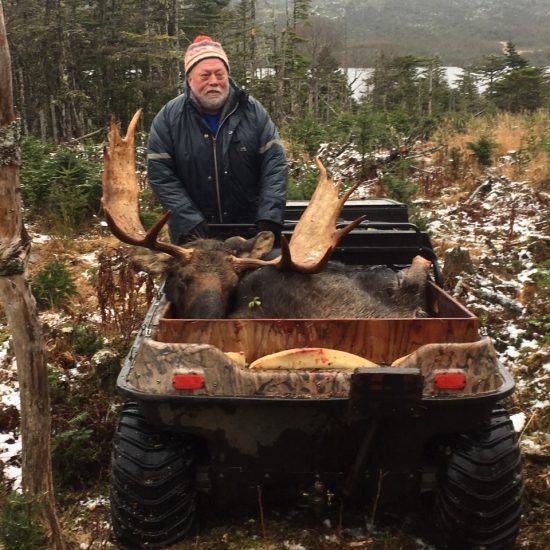 Moose Hunting Outfitters Newfoundland