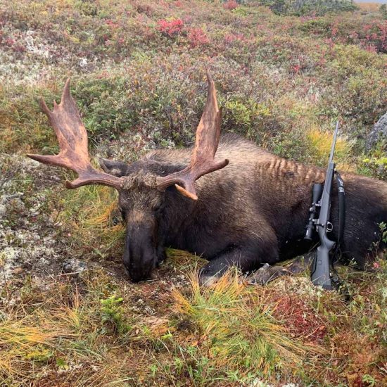 Woodmans Moose Hunting Outfitters NL