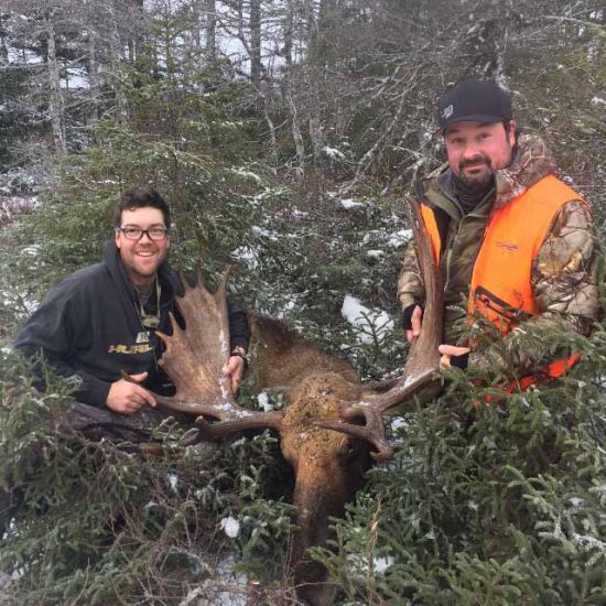 Woodmans Outfitters Moose Hunting Outfitters Newfoundland