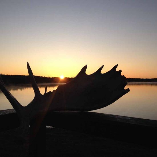 Woodmans Outfitters Newfoundland Hunting Outfitters