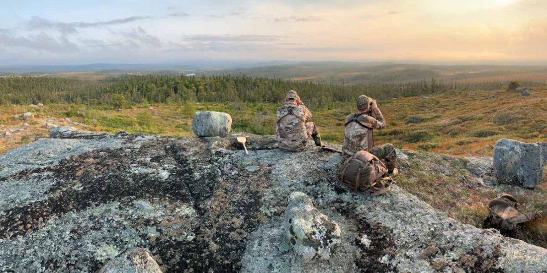 Woodmans Outfitters Newfoundland Moose Hunts